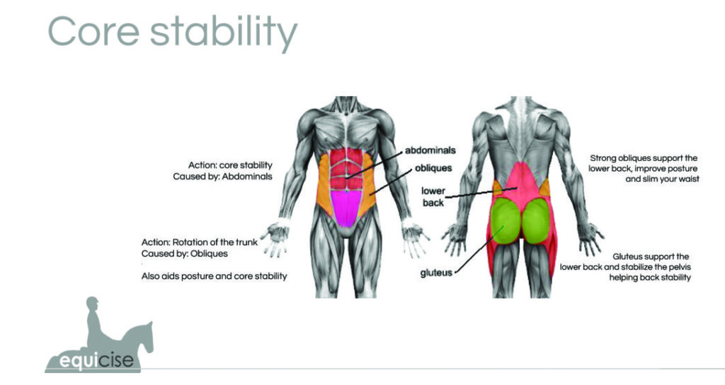 equicise-horse-simulator-classes-wimbledon-london-articles